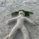 이여사축사 | 💛평창, 속초 1박2일 여행일지💛