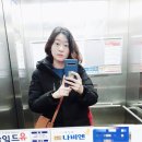 도봉-도봉-2525 이미지