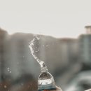 세훈약국 이미지