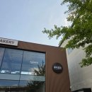 에버스포츠주 | 청주 신상카페 흥덕제과 에버세이브점