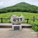 청마 산악회 93차 정기산행 야생화 천국 곰배령 힐링 트레킹 이미지