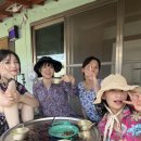 해산촌댁 이미지