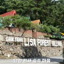 엘리의바베큐숲