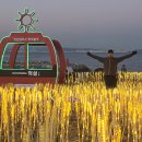 간절곶 공원 이미지