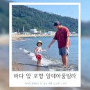 세븐엘레븐 앞 | 포항애견펜션부터 풀빌라까지 모두 갖춘 포항 알데아풀빌라 후기