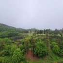 맘초밥롯데리조트