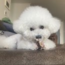 커피안뜰 이미지