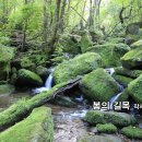 왕언니