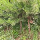 용안경로당 이미지