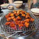 원조산호아나고곰장어 이미지