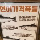쇼겐 이미지