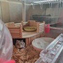 연서동물종합병원 이미지