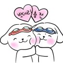 로켓트밧데리 | 울산 화물차 배터리 엑시언트 순정 230AH 교체 로켓트 250L