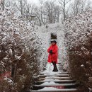 대야미역 이미지