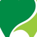 캘리포니아미형 이미지