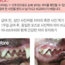 메디웍스 이미지