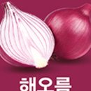 유한회사 하늘 이미지