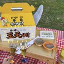 보강천 미루나무숲 피크닉이 완벽한 이유 :: 증평치킨 맛집 왕천파닭 솔직후기