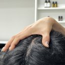 대흥정밀 | [대전두피관리] 숲칼프 대흥점 방문후기!