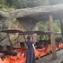김유정로 | [춘천] 여름방학 start🚗