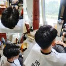아르빈헤어 이미지