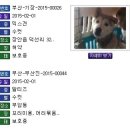 청조동물병원 이미지
