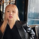 브랜드로이드