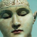 맑은숲고든몸한의원 이미지