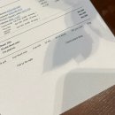 나트랑, 달랏 애견동반 숙소 3곳 후기와 추천