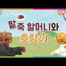 겨울 교육 영상 이미지