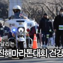 진해상사 이미지