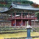 새로문화