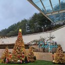 구수곡자연휴양림 | 울진 구수곡 자연휴양림. 낙엽송 1호 후기.