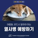 장성동물병원 | [호평동물병원]여름철 치명적인 응급 질환, 강아지 열사병(Heatstroke)