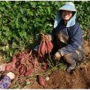 엘림농원 이미지