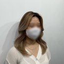 포르비치도로