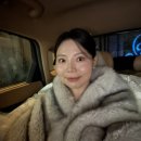25년 1월 월간 보고 🧧 새해 일상 정리 (TMI+사진 개많음주의)