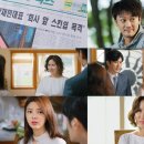 싱글로 티브이데일리