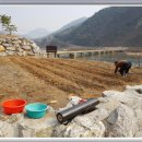 땅콩민박 이미지