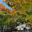 알라딘 메디칼 이미지