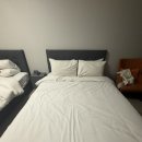 셀럽스테이송도 이미지