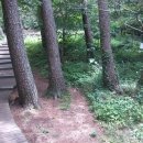 제주 올라 이미지