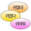 시즈오카 day2 (타마루야, 세노바, 몽벨, 미스터도넛, 푠치키 카레우동, 고텐바 아울렛, 현지맛집 텐동...
