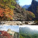 약수식당 이미지