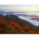 2017년3월12일(일)전북 진안소재 구봉산 구름다리탐방 이미지