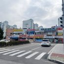 견바라기 이미지