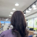 왕가위헤어샵 이미지