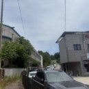 왕도반점