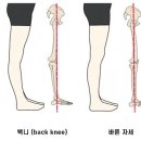 고로필라테스