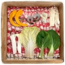 하늘별빛로 | 영종도 맛집 편백회관 편백찜, 샤브샤브 무한리필 후기